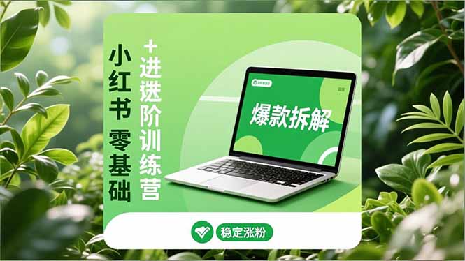 小红书零基础+高阶训练营：安全养号、爆款拆解、长效运营，实现稳定涨粉与变现-蘑菇资源宝库