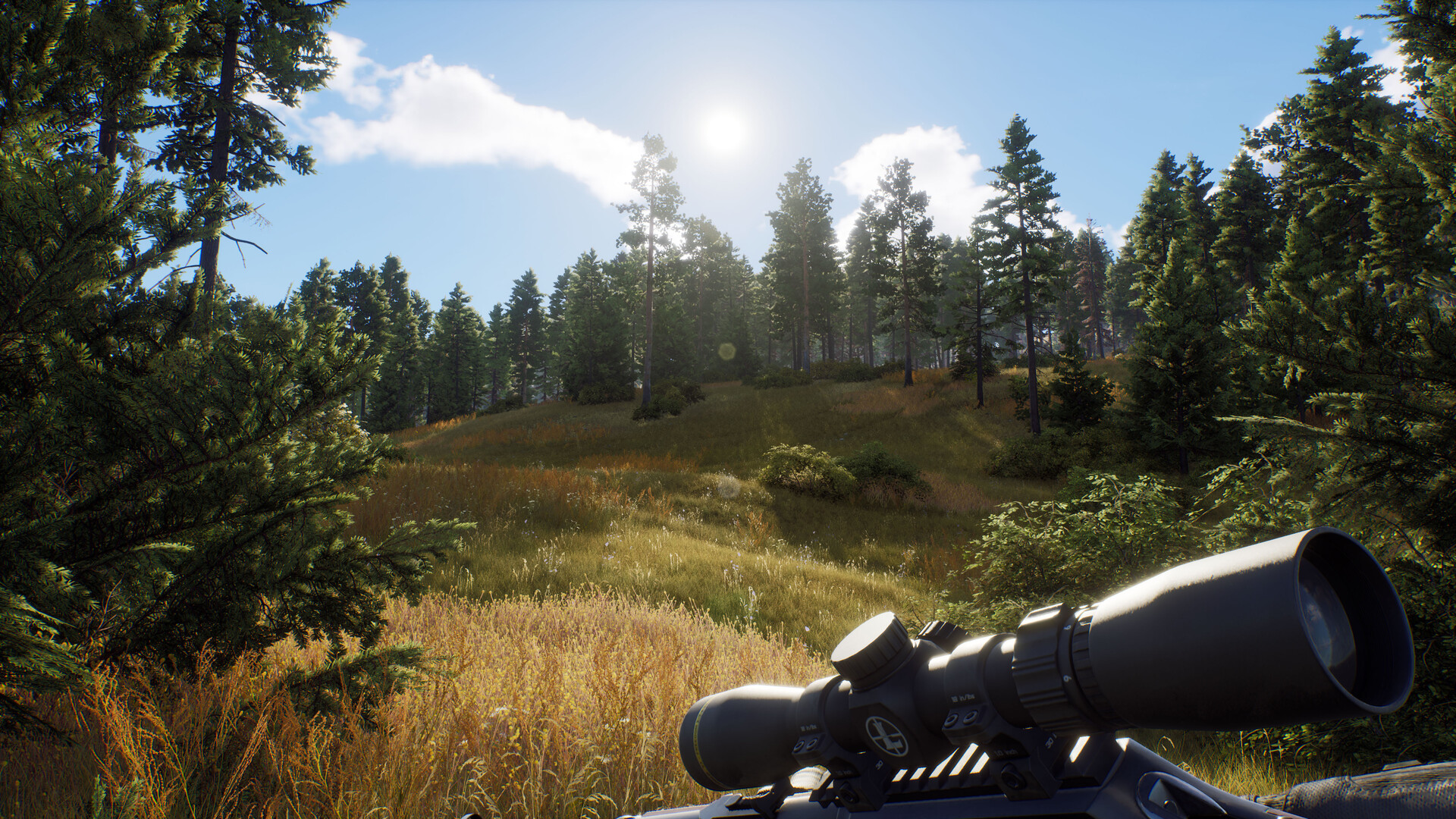 PC游戏《猎人之路/Way of the Hunter》中文v1.30下载-灼光资源宝库