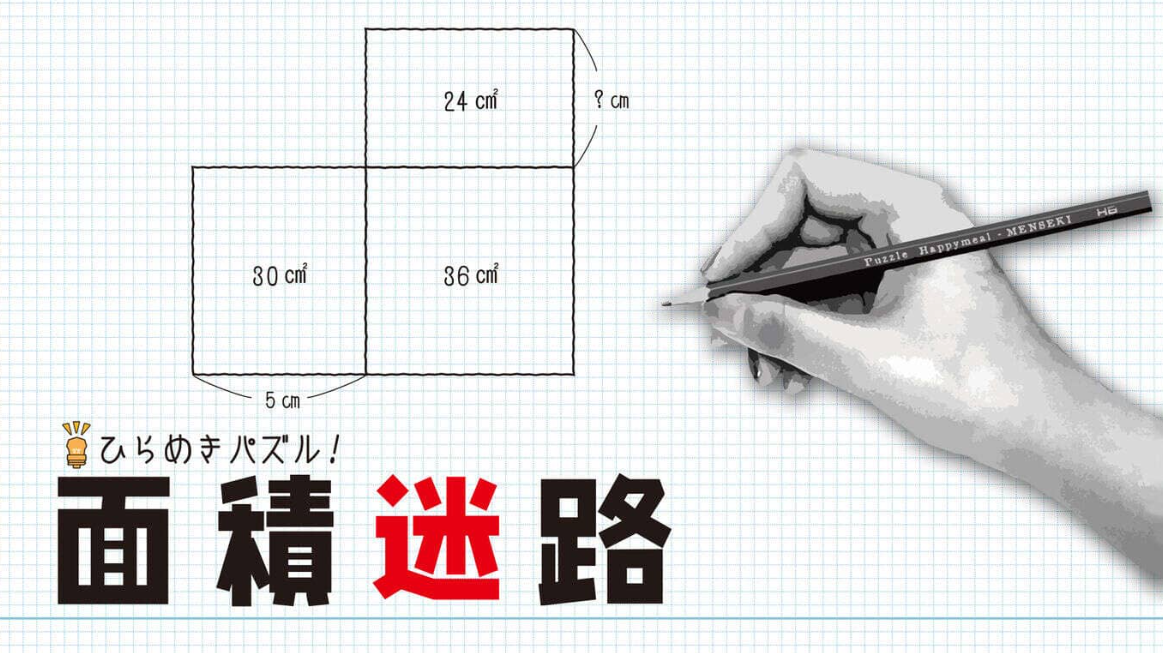 《闪烁的拼图 面积迷宫 MENSEKI Area maze puzzles》Switch英日文版NSZ下载-灼光资源宝库