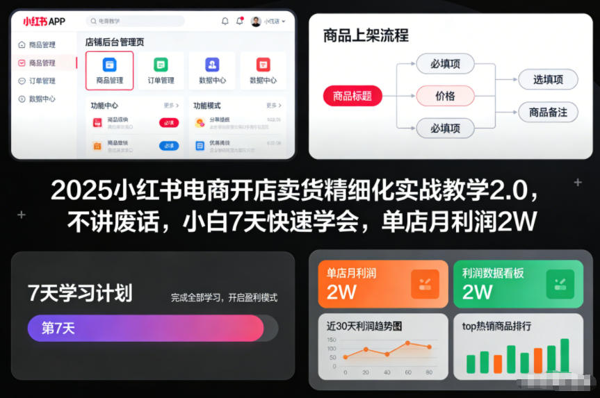 2025小红书电商开店卖货精细化实战教学2.0,不讲废话,小白7天快速学会,单店月利润2W-灼光资源宝库