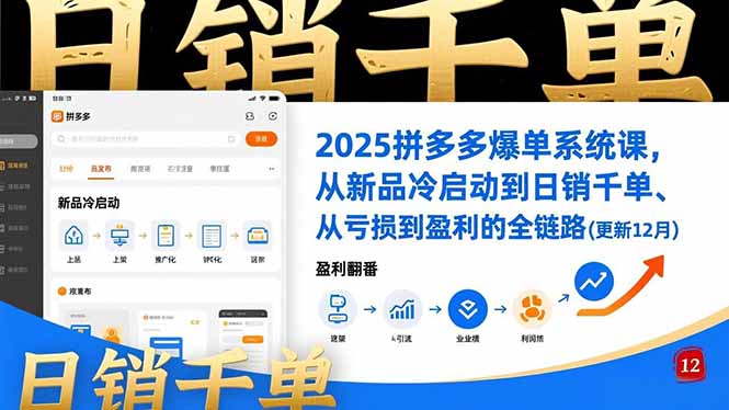 2025拼多多爆单系统课，从新品冷启动到日销千单、从亏损到盈利的全链路(更新12月-灼光资源宝库