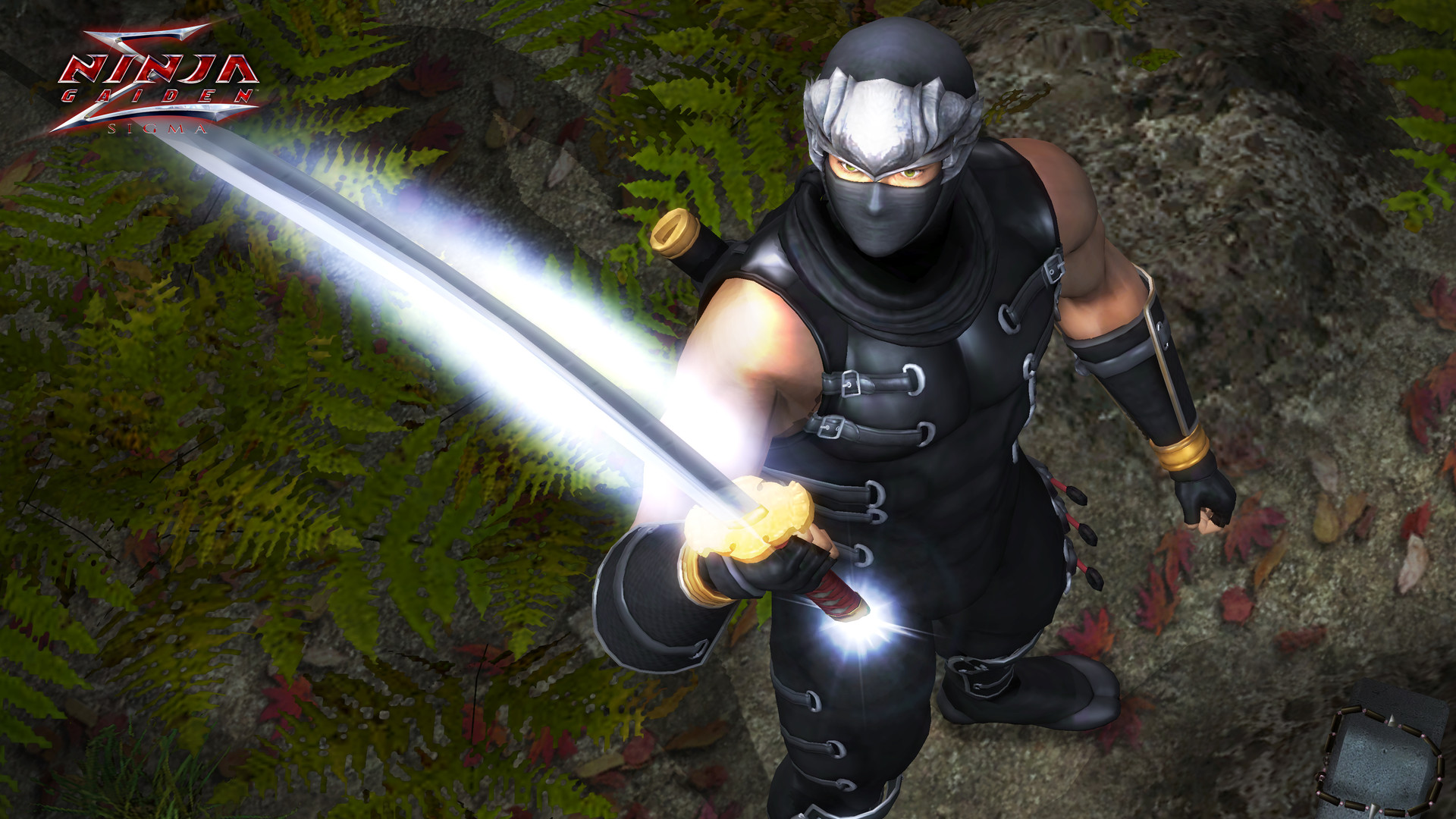 《忍者龙剑传：大师合集/NINJA GAIDEN: Master Collection》PC中文版下载-含v1.0.0.3-灼光资源宝库