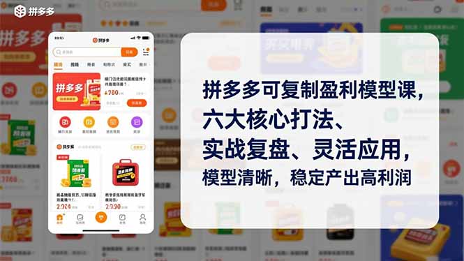 拼多多可复制盈利模型课，六大核心打法、实战复盘、灵活应用，模型清晰，稳定产出高利润-灼光资源宝库