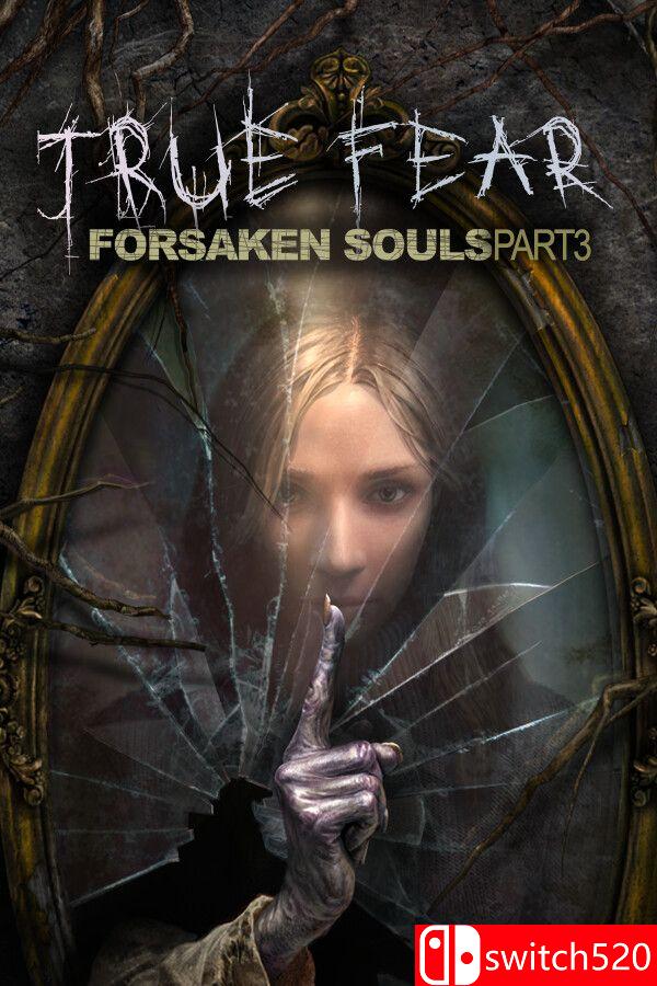 《真实恐惧：被遗弃的灵魂3（True Fear: Forsaken Souls P3）》v1.0.14 [中文/英文]-灼光资源宝库