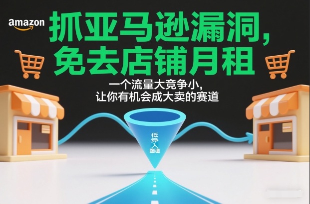 抓亚马逊漏洞，免去店铺月租，一个流量大竞争小，让你有机会成大卖的赛道-灼光资源宝库