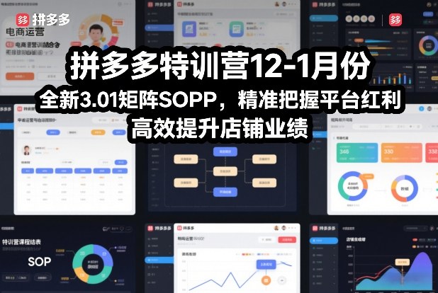 拼多多特训营12-1月份，全新3.01矩阵Sop，精准把握平台红利，高效提升店铺业绩-灼光资源宝库