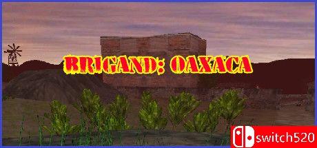 《盗团：瓦哈卡（Brigand: Oaxaca）》v17.6 [英文]-灼光资源宝库