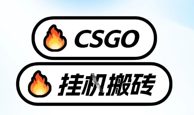 真全网独家CSGO挂G，最新玩法,单日捡漏1K+，不用电脑，不用打游戏【揭秘】-灼光资源宝库