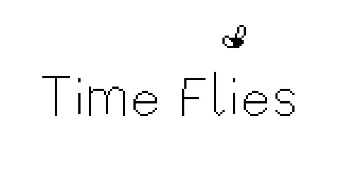 【美版】逝者如斯蝇 .Time Flies 中文-灼光资源宝库