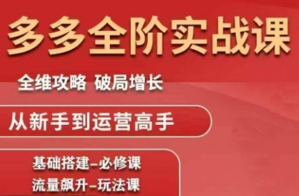 大炮·拼多多全阶实战课程(更新2026)-灼光资源宝库