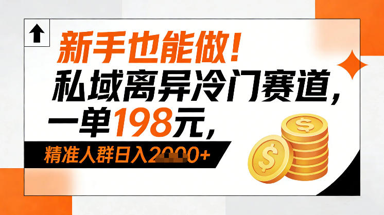 新手也能做！私域离异冷门赛道，一单198，精准人群日入1k+-灼光资源宝库
