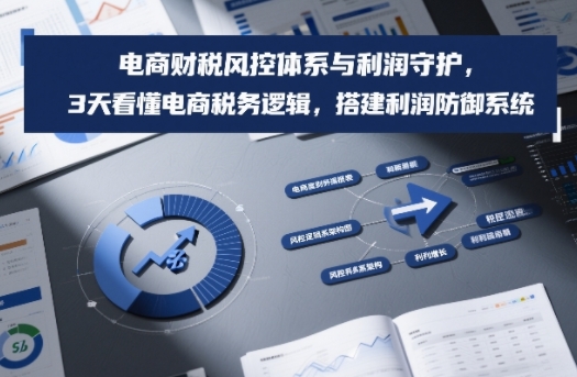 电商财税风控体系与利润守护，3天看懂电商税务逻辑，搭建利润防御系统-蘑菇资源宝库