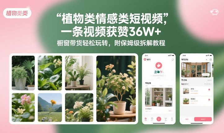 植物类情感类短视频，一条视频获赞36W+，橱窗带货轻松玩转，附保姆级拆解教程-灼光资源宝库