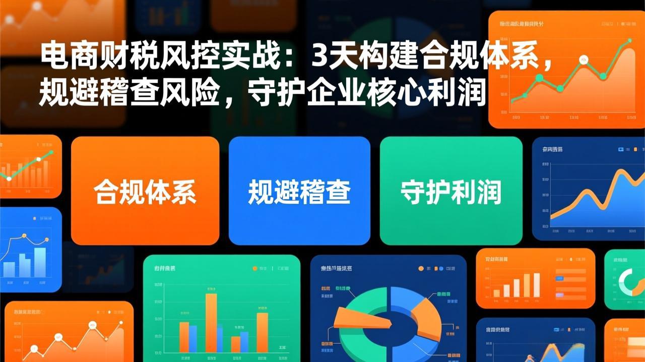 电商财税风控实战：3天构建合规体系，规避稽查风险，守护企业核心利润-灼光资源宝库