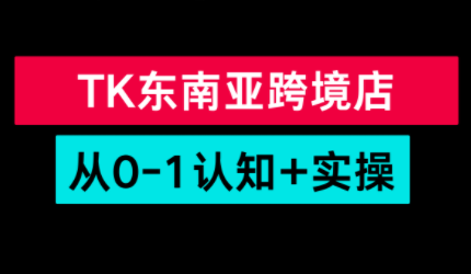 TikTok东南亚跨境从0-1认知实操课-灼光资源宝库