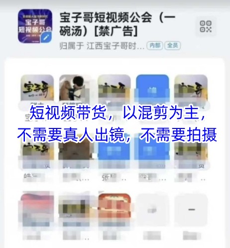 宝子哥头部团队短视频带货，以混剪为主，不需要真人出镜，不需要拍摄【更新26年1月】-灼光资源宝库