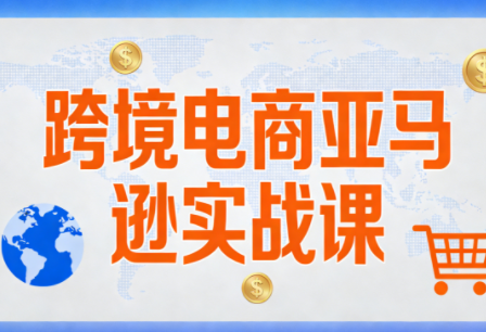 丝丝老师·跨境电商亚马逊实战课(更新2月)-灼光资源宝库