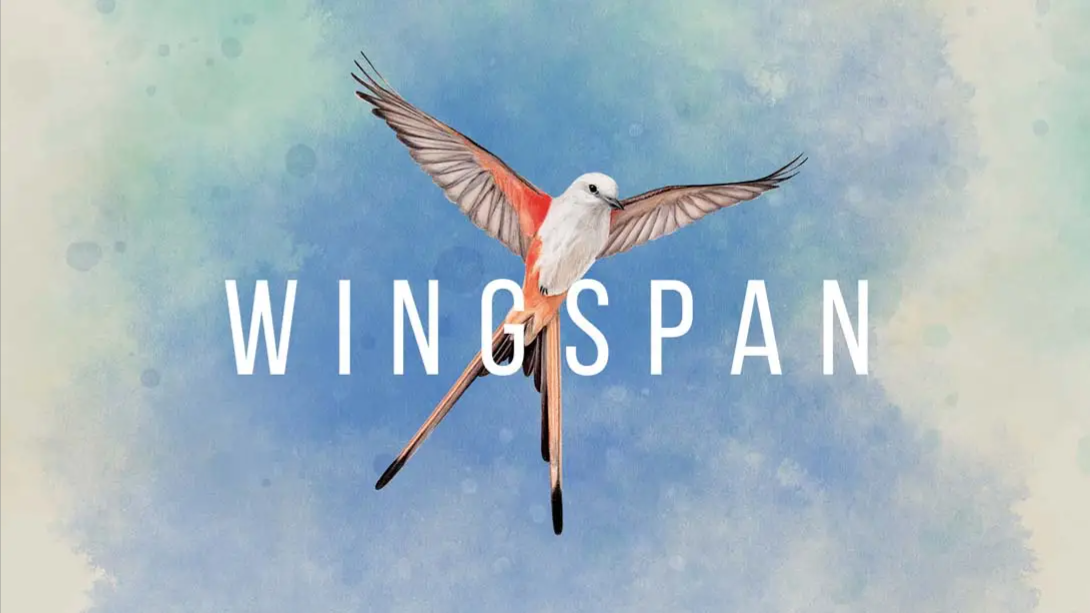 【美版】展翅翱翔 Wingspan 中文-灼光资源宝库