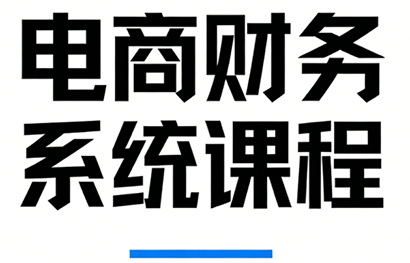 郑老师·电商财务系统课程-灼光资源宝库