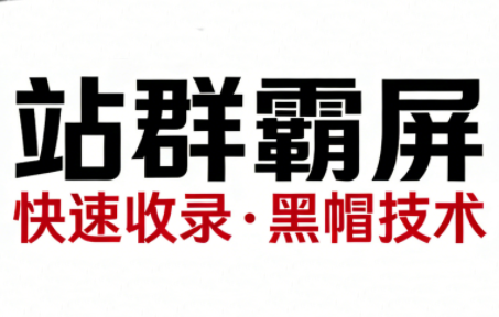 SEO野路子实战全集：快速收录、站群霸屏、黑帽技术(更新)-灼光资源宝库