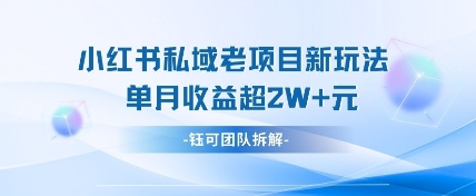 小红书私域项目新玩法,单月变现过W+-蘑菇资源宝库
