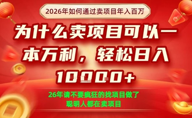 一单净利润1K+，26年想年入100个W，死磕卖项目就够了【揭秘】-蘑菇资源宝库