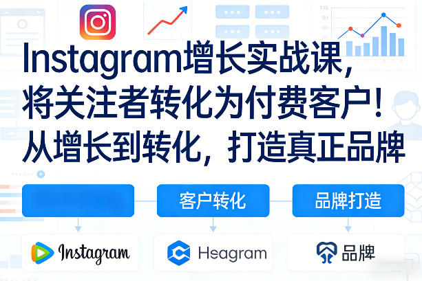 Instagram增长实战课，将关注者转化为付费客户！从增长到转化，打造真正品牌(双语字幕)-灼光资源宝库