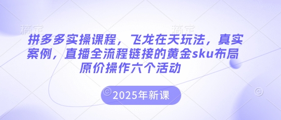 拼多多实操课程，飞龙在天玩法，真实案例，直播全流程链接的黄金sku布局原价操作六个活动-灼光资源宝库