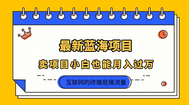 2025年最新蓝海项目，卖项目小白也能月入过万-灼光资源宝库