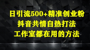 日引流500+精准创业粉，抖音共情自热打法，工作室都在用的方法-灼光资源宝库
