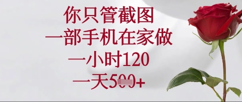 你只管截图，一部手机在家操作，一小时120.一天5张【揭秘】-蘑菇资源宝库