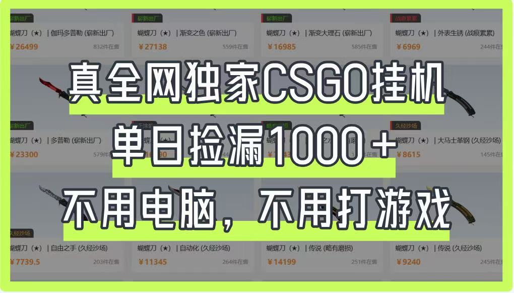 真全网独家CSGO挂机，单日捡漏1000+，不用电脑，不用养号-灼光资源宝库