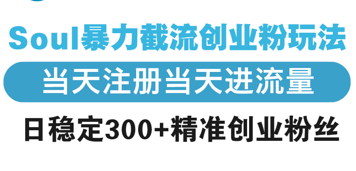 Soul暴力截流创业粉玩法，当天注册当天进流量，日稳定300+精准创业粉丝-灼光资源宝库