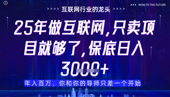 什么!25年你还在找项目做?风口早就变了,卖项目才是稳挣不赔【揭秘】-灼光资源宝库