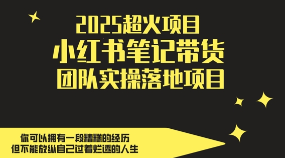 2025超火项目,副业最佳选择,小红书笔记带货团队实操落地项目,,轻松日入5张-灼光资源宝库