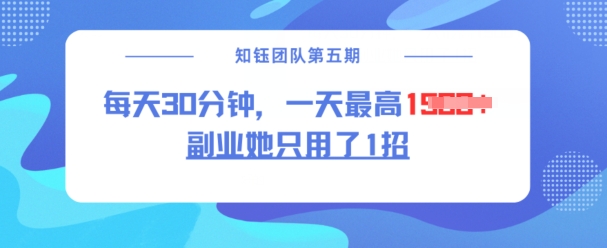 副业她只用了1招，每天30分钟，无脑二创，一天最高1.5k-灼光资源宝库