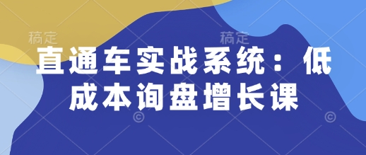 直通车实战系统:低成本询盘增长课,让个人通过技能实现升职加薪,让企业低成本获客,订单源源不断-灼光资源宝库