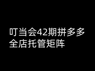 叮当会拼多多打爆班原创高阶技术第42期，拼多多全店托管矩阵-灼光资源宝库