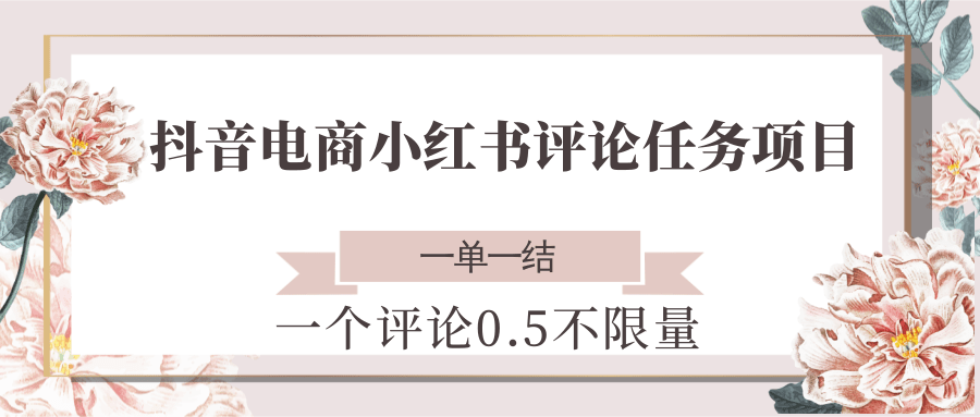 抖音电商小红书评论任务项目，一个评论0.5，一单一结 不限量-灼光资源宝库