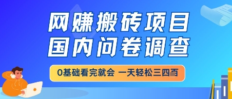 网创搬砖项目，国内问卷调查，小白轻松上手，一天三四张的也不难，干就完了【揭秘】-灼光资源宝库