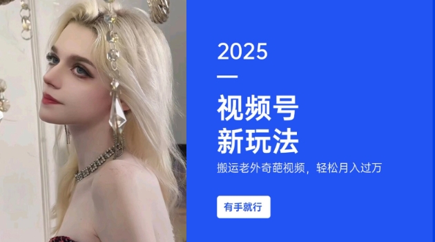 搬运老外奇葩视频，撸视频号分成计划收益，每天只需一小时，新手小白轻松月入过W-灼光资源宝库