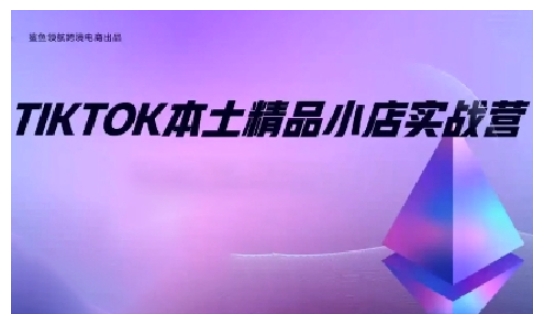 TikTok本土精品小店出海实战营,从入门到高阶,不止0-1!-灼光资源宝库