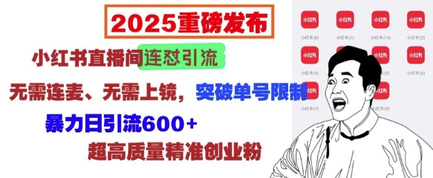 2025重磅发布：小红书直播间连怼引流，无需连麦、无需上镜，突破单号限制，暴力日引流600+-灼光资源宝库