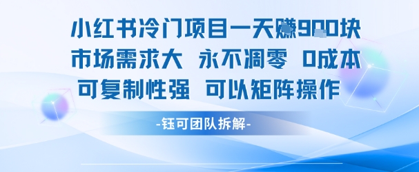 小红书冷门项目一天收益9张，市场需求大，0成本，可复制性强可以矩阵操作-灼光资源宝库