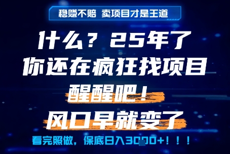 什么？25年你还在疯狂找项目做，醒醒吧，看完这些你全都懂了！【揭秘】-灼光资源宝库