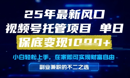 25年最新风口，视频号托管项目，单日保底变现1k+，手把手教学【揭秘】-灼光资源宝库