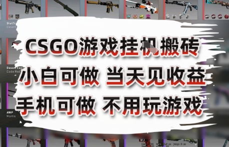 CSGO游戏挂G搬砖，小白纯手机即可操作，不用电脑打游戏，日入3张+，副业网创项目【揭秘】-资源宝库