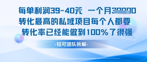 每单利润40一个月7k+转化最高的私域项目，每个人都要的产品转化率已经能做到100%-灼光资源宝库