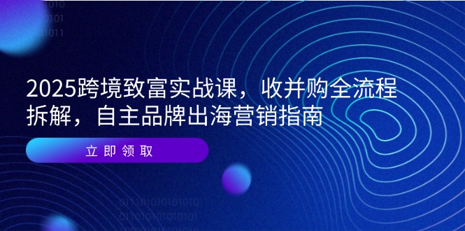 2025跨境致富实战课，收并购全流程拆解，自主品牌出海营销指南-灼光资源宝库