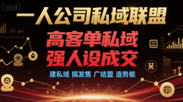 一人公司私域联盟,高客单私域,强人设成交,建私域 搞发售 广结盟 造势能-灼光资源宝库